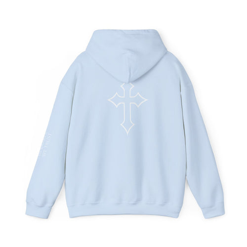 Baby Blue Hooded Sweatshirt adult