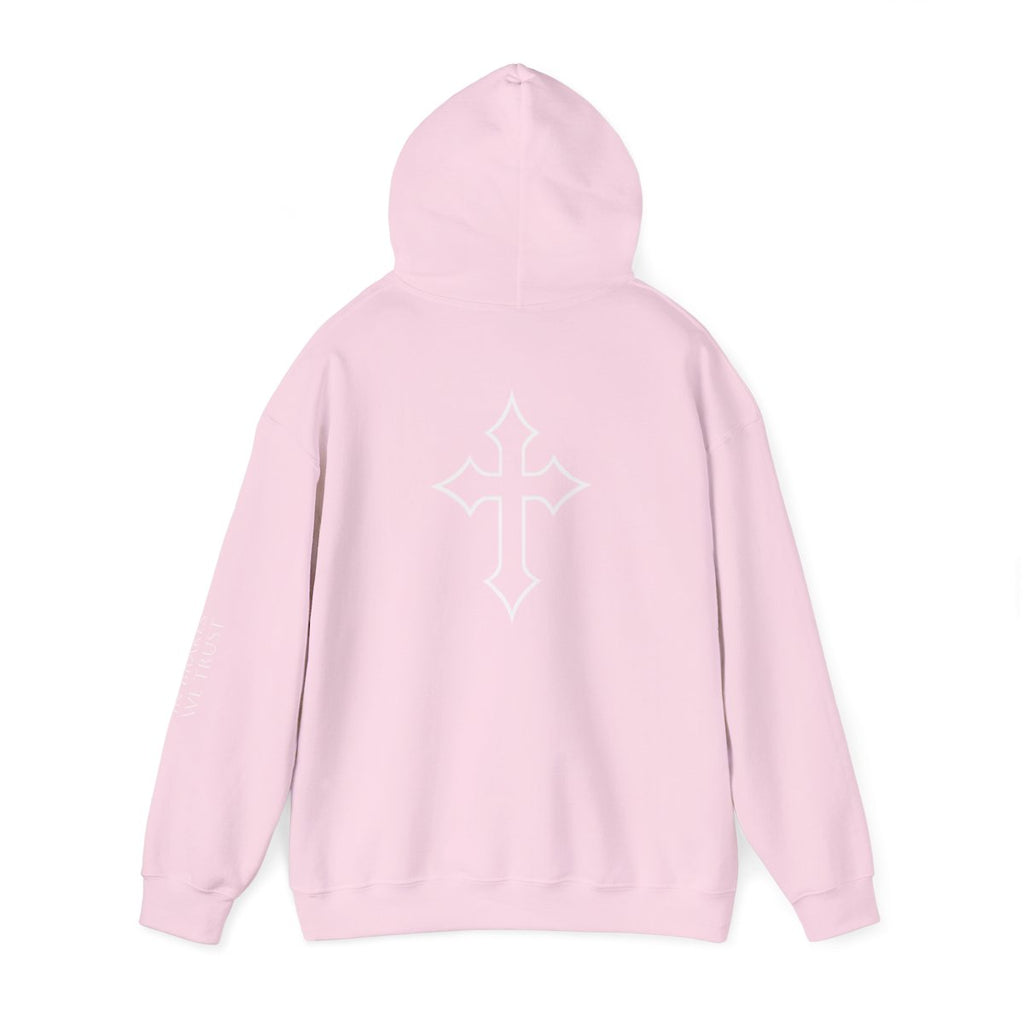 Pink Hooded Sweatshirt adult